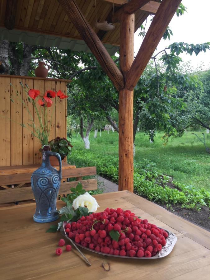 Apple Tree Family Home Dzorakap المظهر الخارجي الصورة